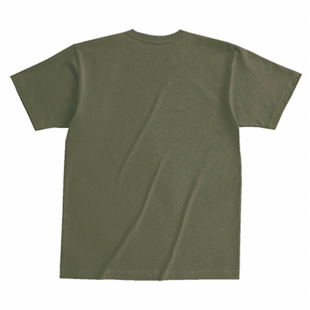 "POPART POSTER LOGO" Ts KHAKI
