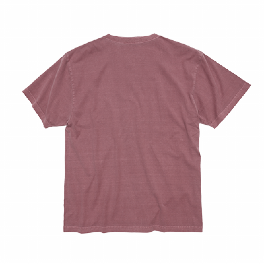 "SLIDE" GARMENT DYE Ts PURPLE
