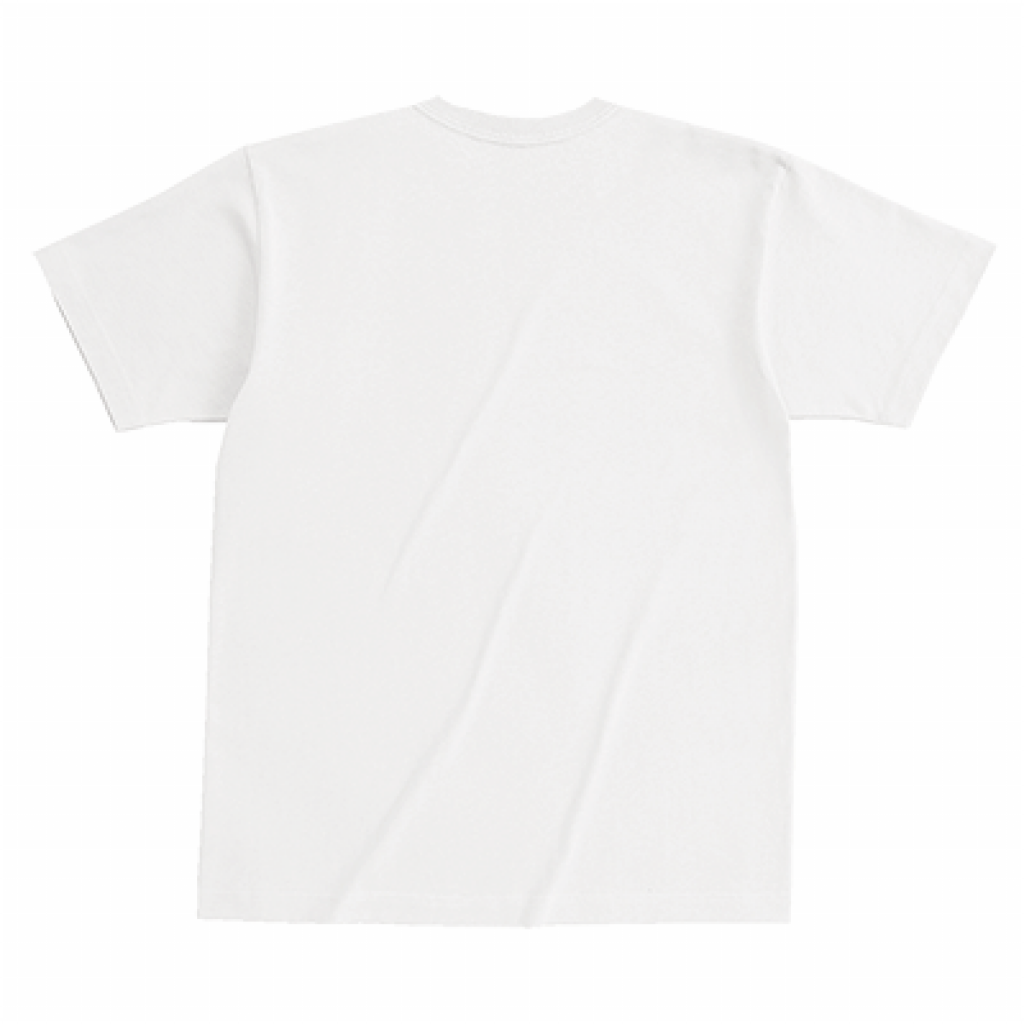 "STRAIGHT LOGO" Ts WHITE