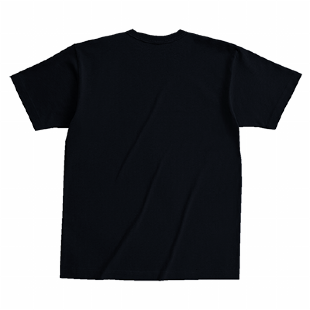 "STRAIGHT LOGO BLUE" Ts BLACK