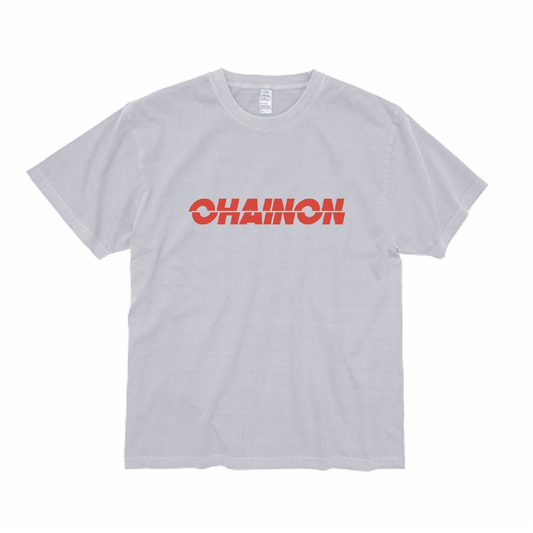 "SLIDE" GARMENT DYE Ts GRAY